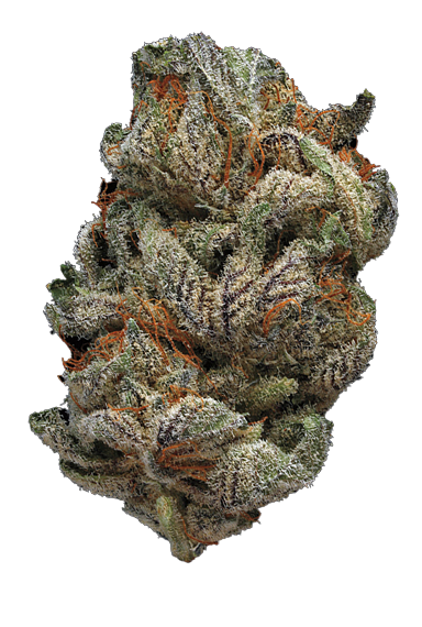 Cannabis Pickup Helena MT Order Cannabis Online Helena MT Order Cannabis Online East Helena MT Fast Cannabis Pickup Helena Same Day Cannabis Pickup Helena Convenient Cannabis Pickup East Helena Shop Premium Cannabis Helena MT Shop Premium Cannabis East Helena MT Cannabis Shopping Helena Montana Cannabis Shopping East Helena Montana Browse Cannabis Products Helena MT Premium Cannabis Selection Helena Largest Cannabis Selection Helena MT Friendly Cannabis Budtenders Helena Expert Cannabis Recommendations Helena Premium Cannabis Experience Helena